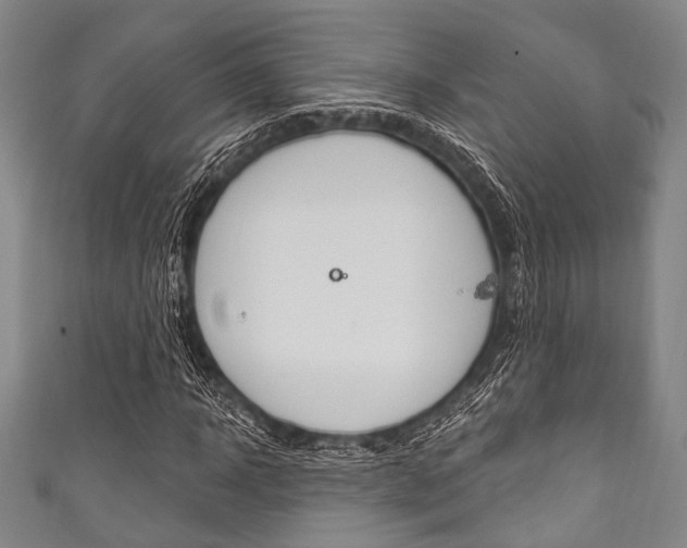 X0000111830918200907231019