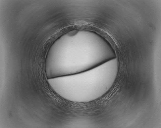 X0000111830919200907231019