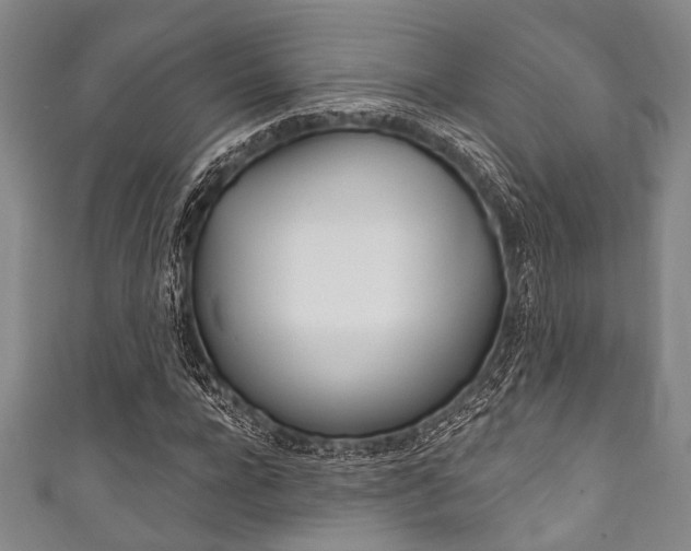 X0000111830920200907231019