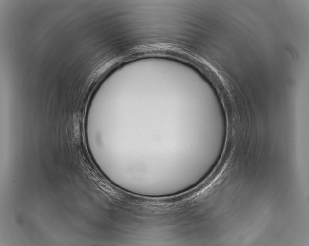X0000111830921200907231019
