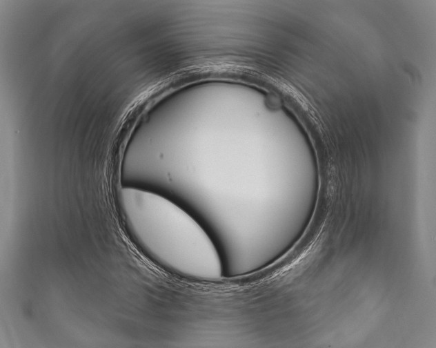 X0000111830922200907231019