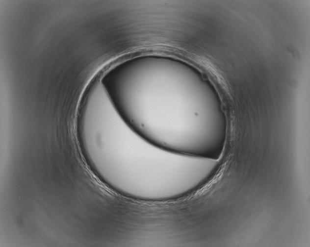 X0000111830924200907231019