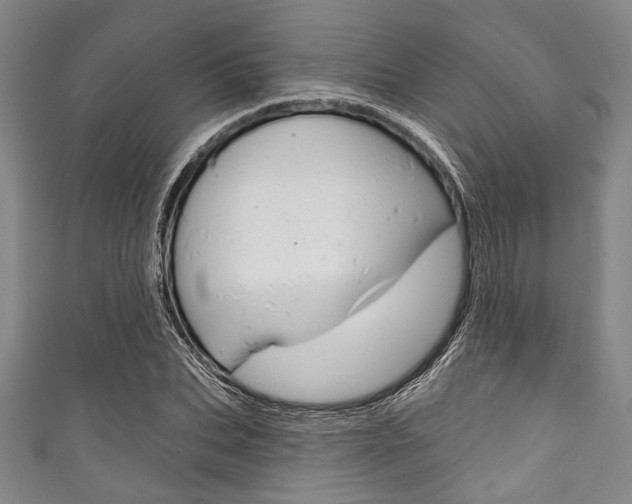 X0000111830927200907231019