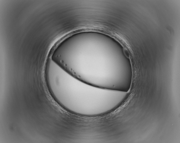 X0000111830928200907231019