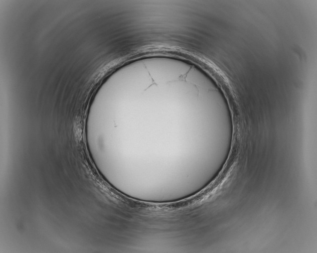 X0000111830929200907231019