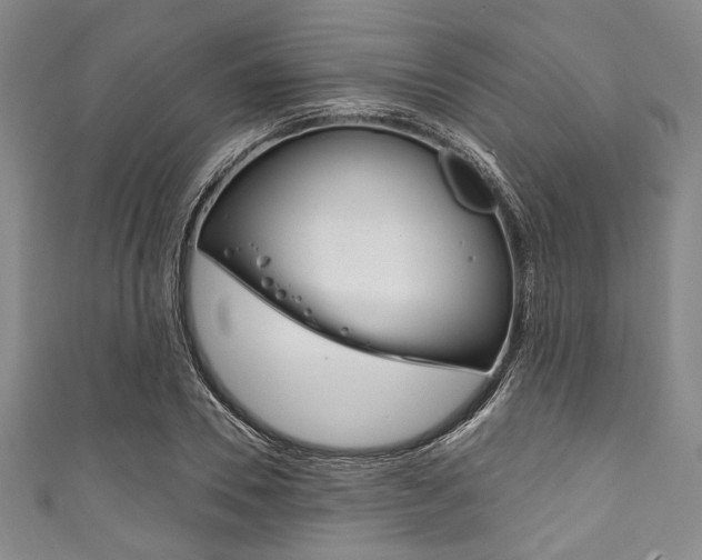 X0000111830930200907231019