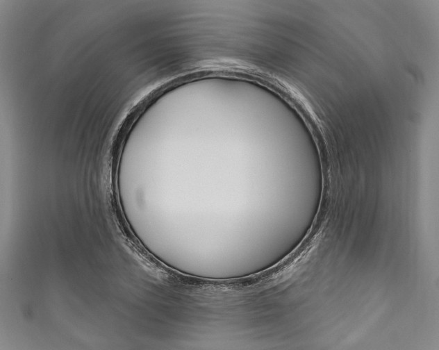 X0000111830931200907231019