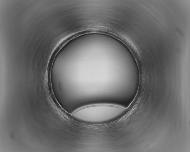 X0000111830932200907231019