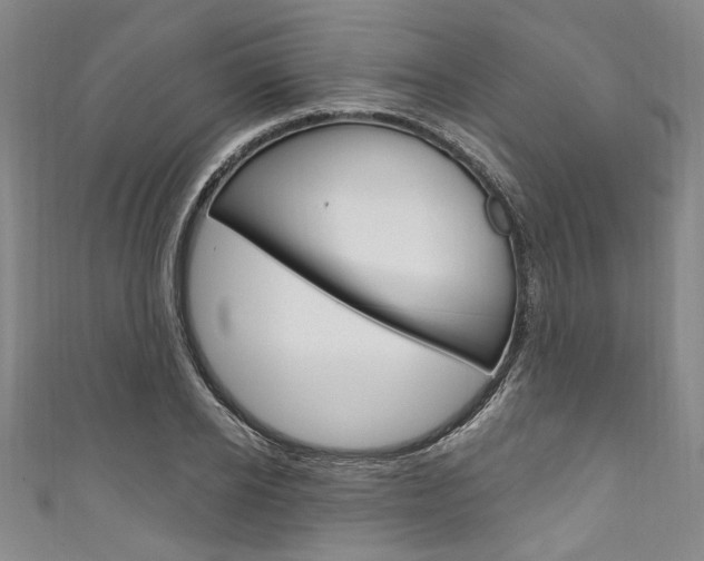 X0000111830934200907231019