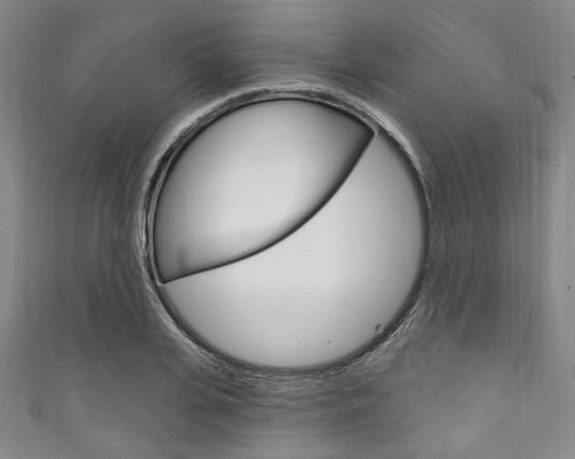 X0000111830935200907231019