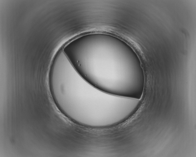 X0000111830936200907231019