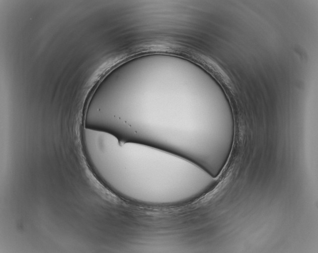 X0000111830938200907231019