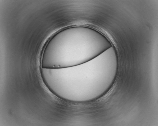 X0000111830939200907231019