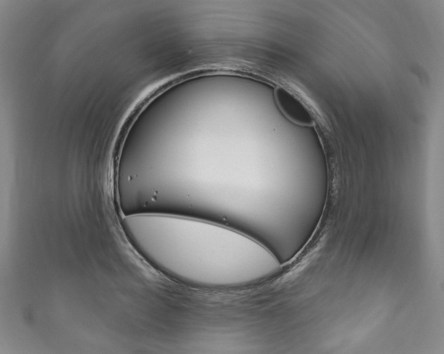 X0000111830940200907231019