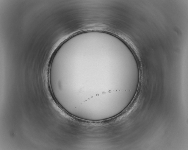 X0000111830941200907231019