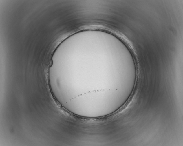 X0000111830945200907231019