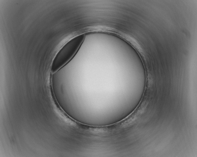 X0000111830946200907231019