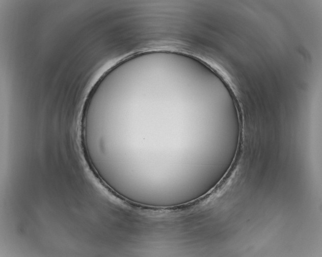 X0000111830949200907231019