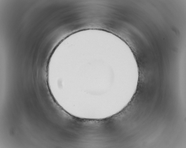 X0000111830950200907231019