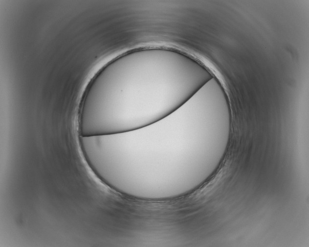 X0000111830951200907231019