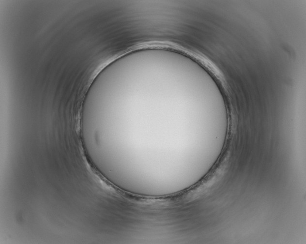 X0000111830953200907231019