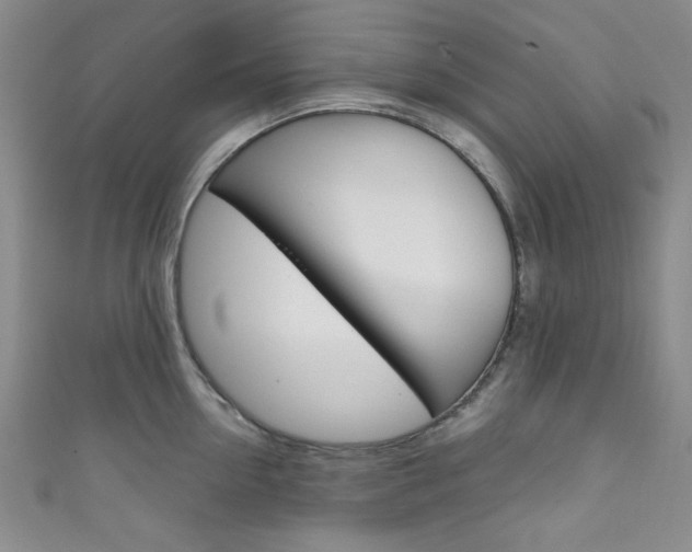 X0000111830954200907231019