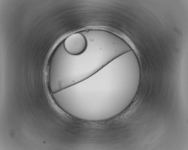 X0000111830955200907231019