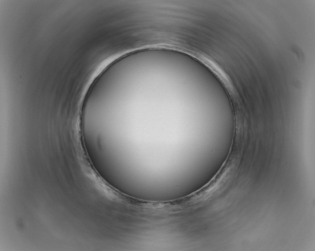 X0000111830956200907231019