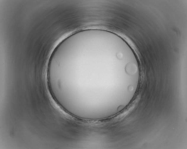 X0000111830957200907231019