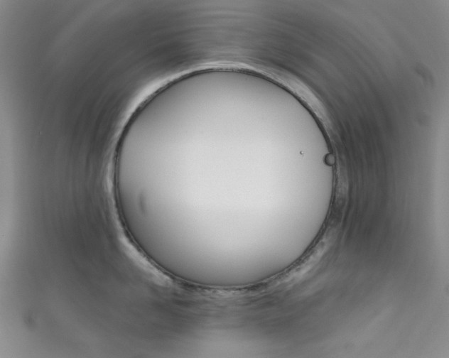 X0000111830958200907231019