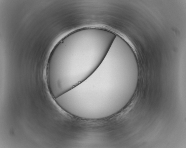 X0000111830959200907231019