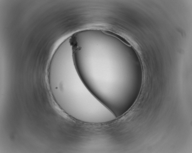 X0000111830960200907231019