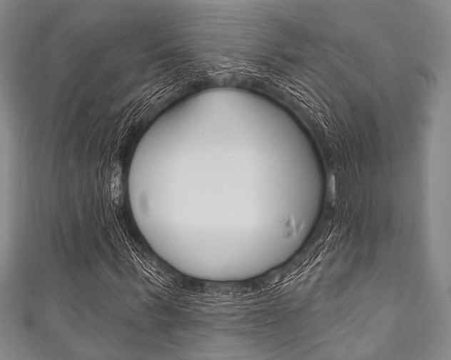 X0000111830963200907231019