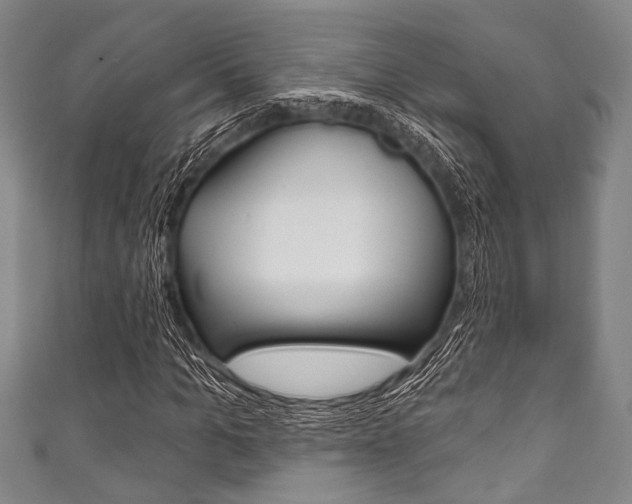 X0000111830965200907231019