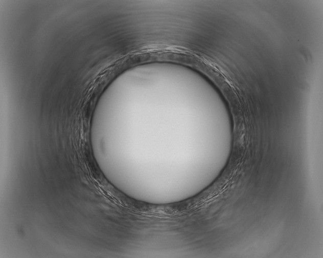 X0000111830966200907231019