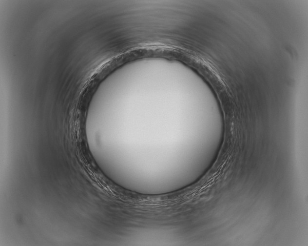X0000111830968200907231019