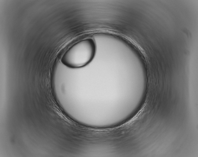 X0000111830969200907231019