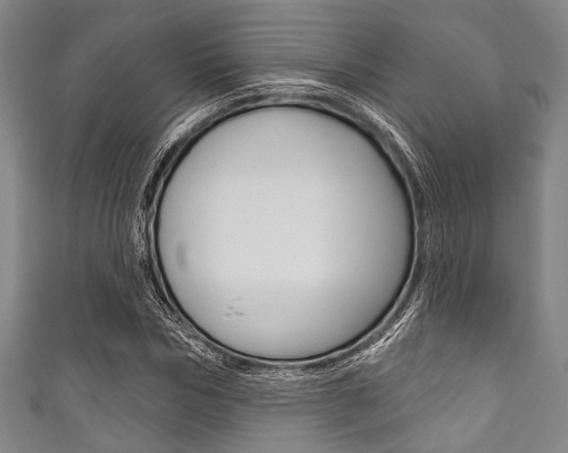 X0000111830970200907231019