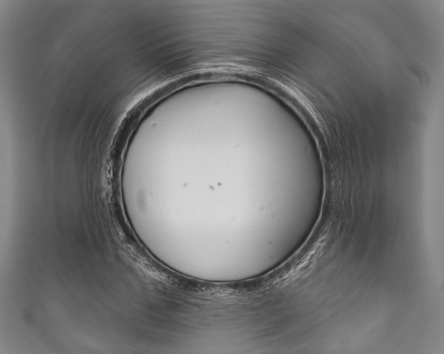 X0000111830971200907231019