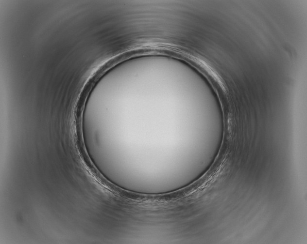 X0000111830972200907231019