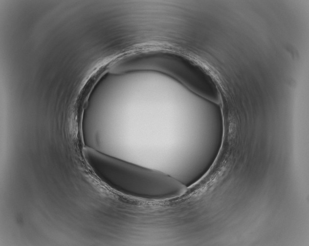 X0000111830973200907231019