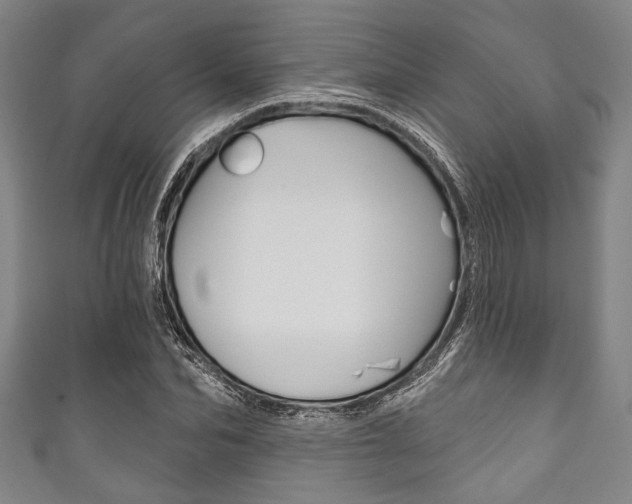 X0000111830974200907231019
