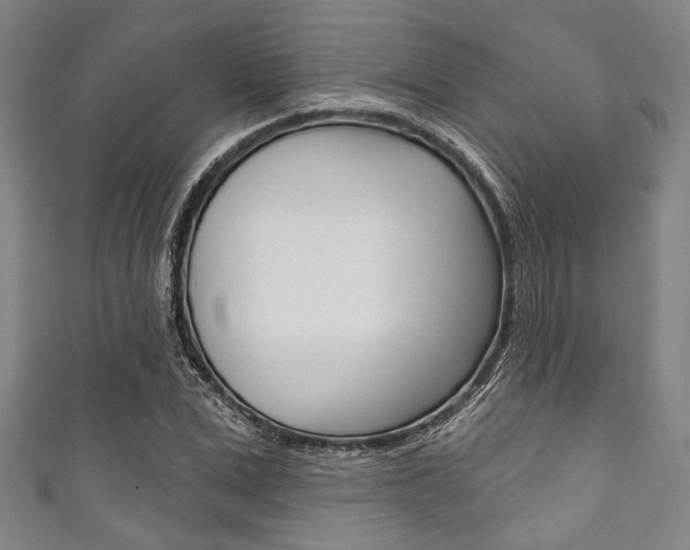 X0000111830975200907231019