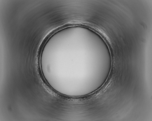X0000111830976200907231019