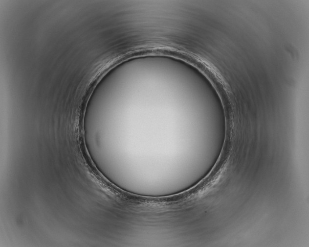 X0000111830977200907231019