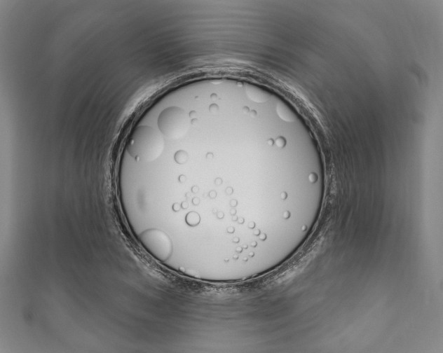 X0000111830978200907231019