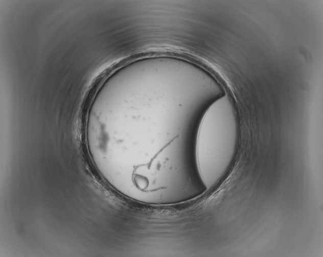 X0000111830979200907231019
