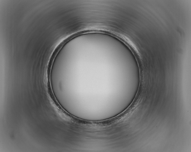 X0000111830980200907231019