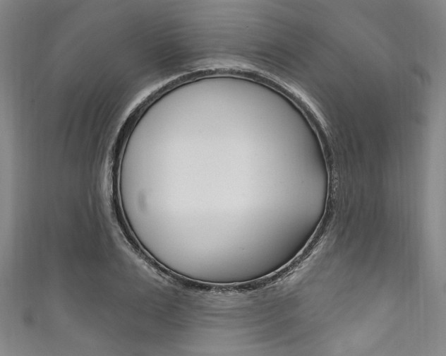 X0000111830983200907231019