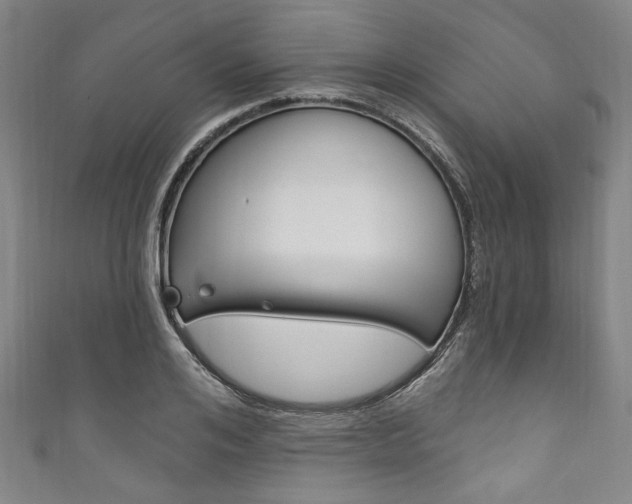 X0000111830984200907231019